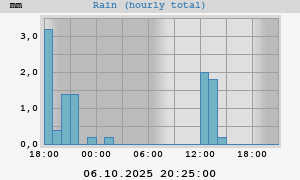 rain